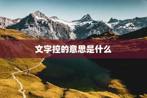 文字控的意思是什么