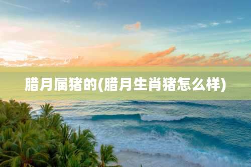 腊月属猪的(腊月生肖猪怎么样)