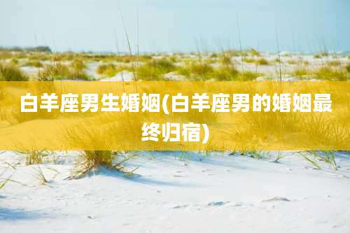 白羊座男生婚姻(白羊座男的婚姻最终归宿)