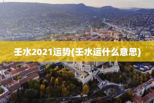 壬水2021运势(壬水运什么意思)