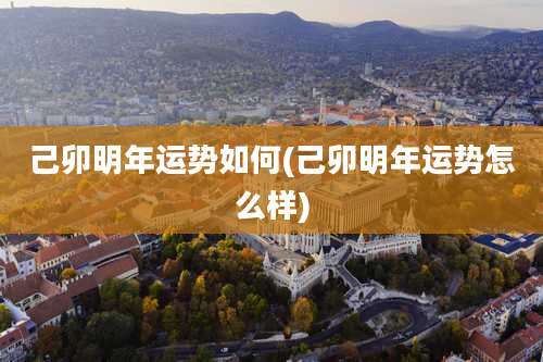 己卯明年运势如何(己卯明年运势怎么样)