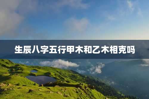 生辰八字五行甲木和乙木相克吗