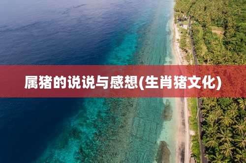 属猪的说说与感想(生肖猪文化)