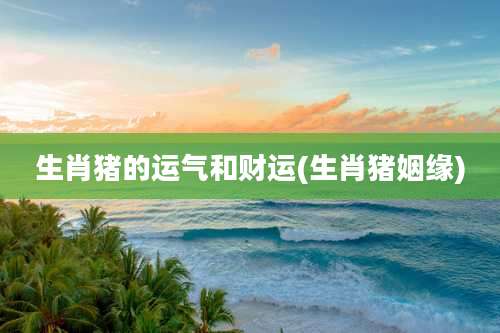 生肖猪的运气和财运(生肖猪姻缘)