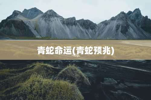 青蛇命运(青蛇预兆)