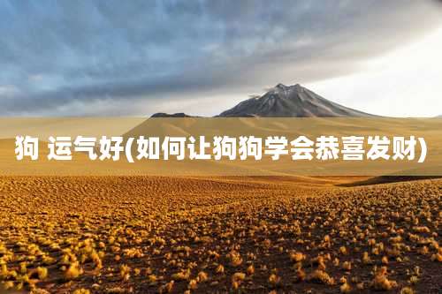 狗 运气好(如何让狗狗学会恭喜发财)