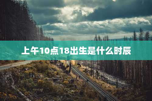 上午10点18出生是什么时辰
