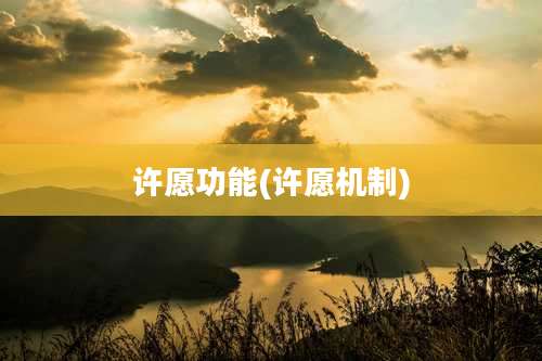 许愿功能(许愿机制)