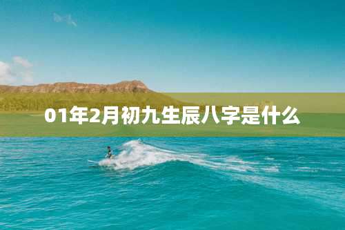 01年2月初九生辰八字是什么