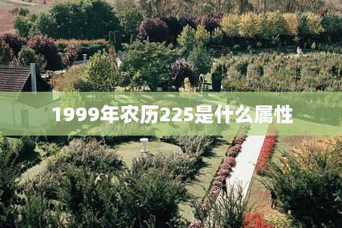 1999年农历225是什么属性