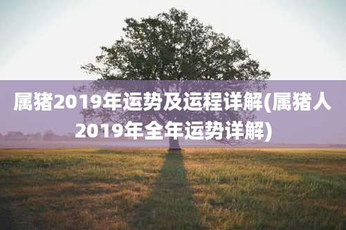 属猪2019年运势及运程详解(属猪人2019年全年运势详解)