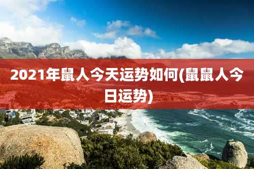 2021年鼠人今天运势如何(鼠鼠人今日运势)