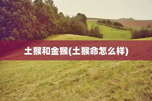 土猴和金猴(土猴命怎么样)