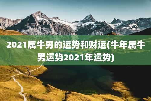2021属牛男的运势和财运(牛年属牛男运势2021年运势)