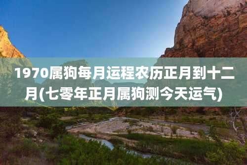 1970属狗每月运程农历正月到十二月(七零年正月属狗测今天运气)
