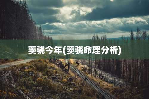 窦骁今年(窦骁命理分析)