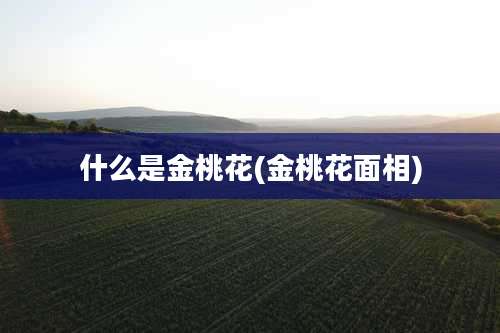 什么是金桃花(金桃花面相)