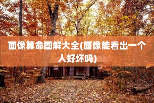 面像算命图解大全(面像能看出一个人好坏吗)