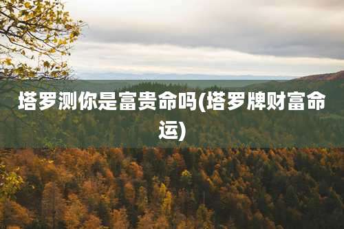 塔罗测你是富贵命吗(塔罗牌财富命运)