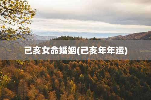 己亥女命婚姻(己亥年年运)