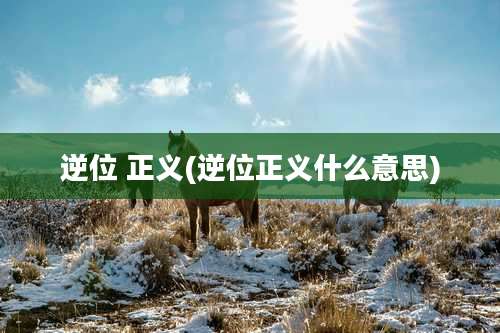 逆位 正义(逆位正义什么意思)