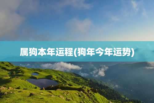 属狗本年运程(狗年今年运势)