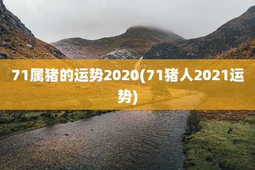 71属猪的运势2020(71猪人2021运势)