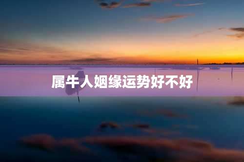 属牛人姻缘运势好不好