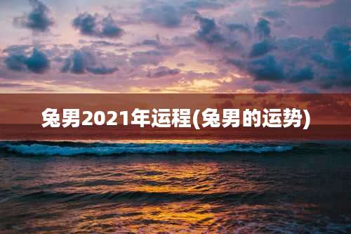 兔男2021年运程(兔男的运势)