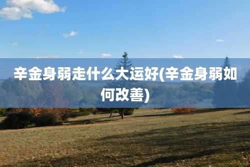 辛金身弱走什么大运好(辛金身弱如何改善)