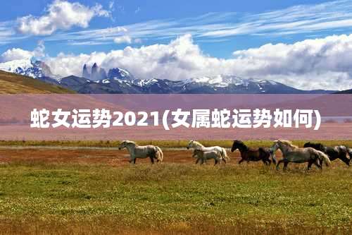 蛇女运势2021(女属蛇运势如何)