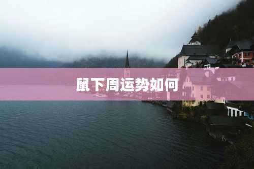 鼠下周运势如何