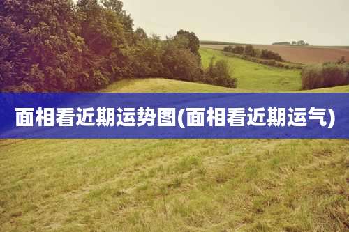 面相看近期运势图(面相看近期运气)