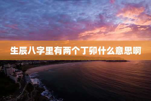 生辰八字里有两个丁卯什么意思啊