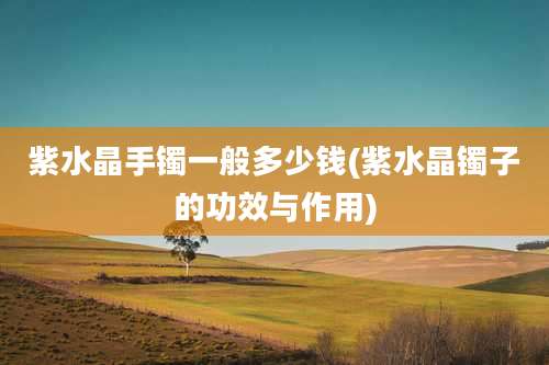 紫水晶手镯一般多少钱(紫水晶镯子的功效与作用)