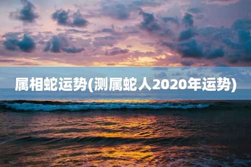 属相蛇运势(测属蛇人2020年运势)