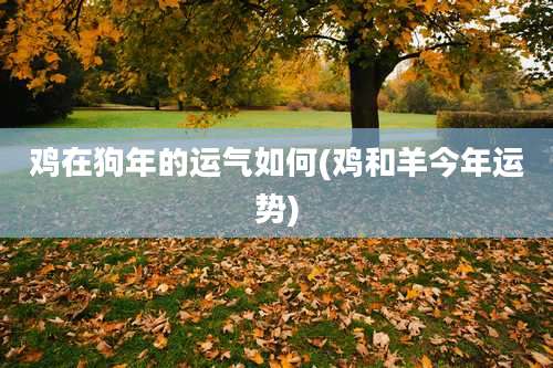 鸡在狗年的运气如何(鸡和羊今年运势)