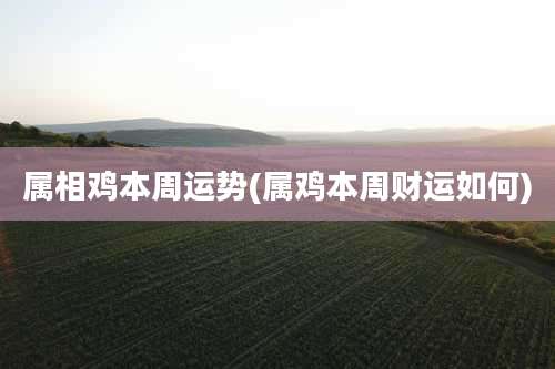 属相鸡本周运势(属鸡本周财运如何)