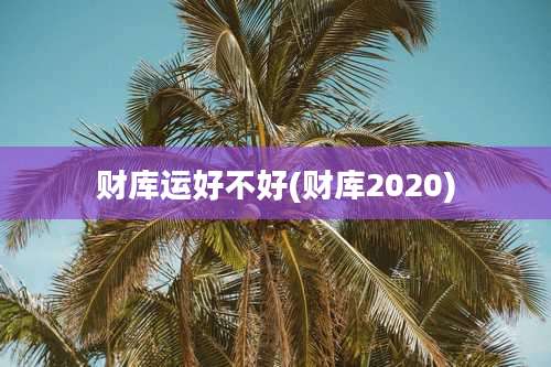 财库运好不好(财库2020)