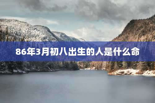 86年3月初八出生的人是什么命