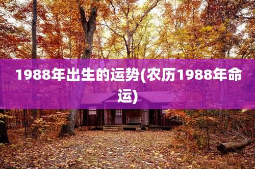 1988年出生的运势(农历1988年命运)