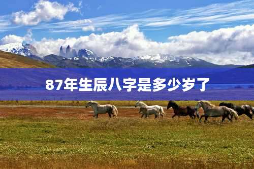 87年生辰八字是多少岁了