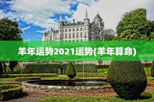 羊年运势2021运势(羊年算命)