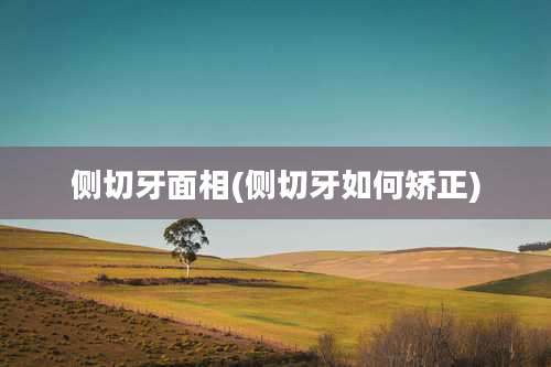 侧切牙面相(侧切牙如何矫正)