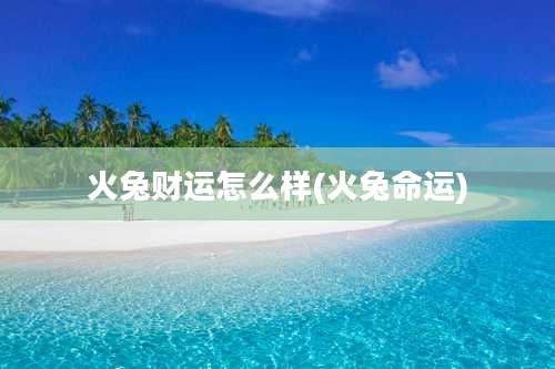 火兔财运怎么样(火兔命运)