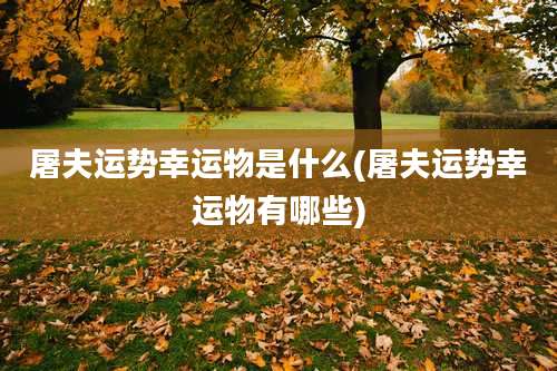 屠夫运势幸运物是什么(屠夫运势幸运物有哪些)