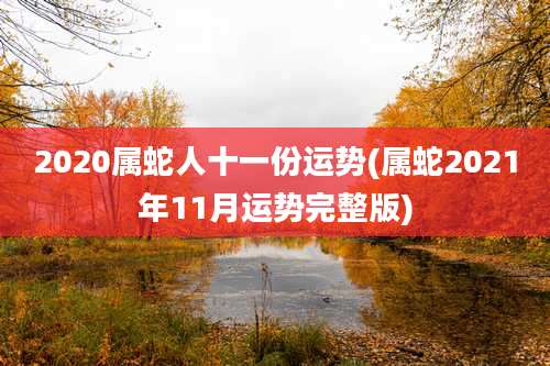2020属蛇人十一份运势(属蛇2021年11月运势完整版)