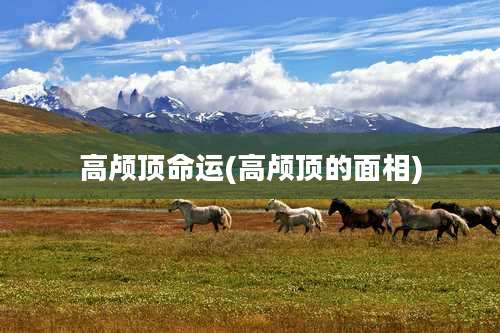 高颅顶命运(高颅顶的面相)