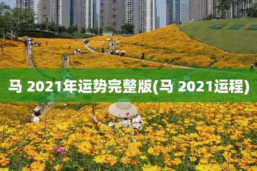 马 2021年运势完整版(马 2021运程)