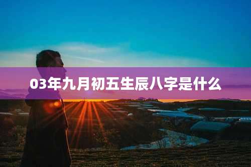 03年九月初五生辰八字是什么